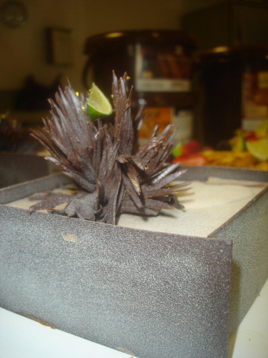 dsc00709