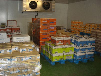 Foto1